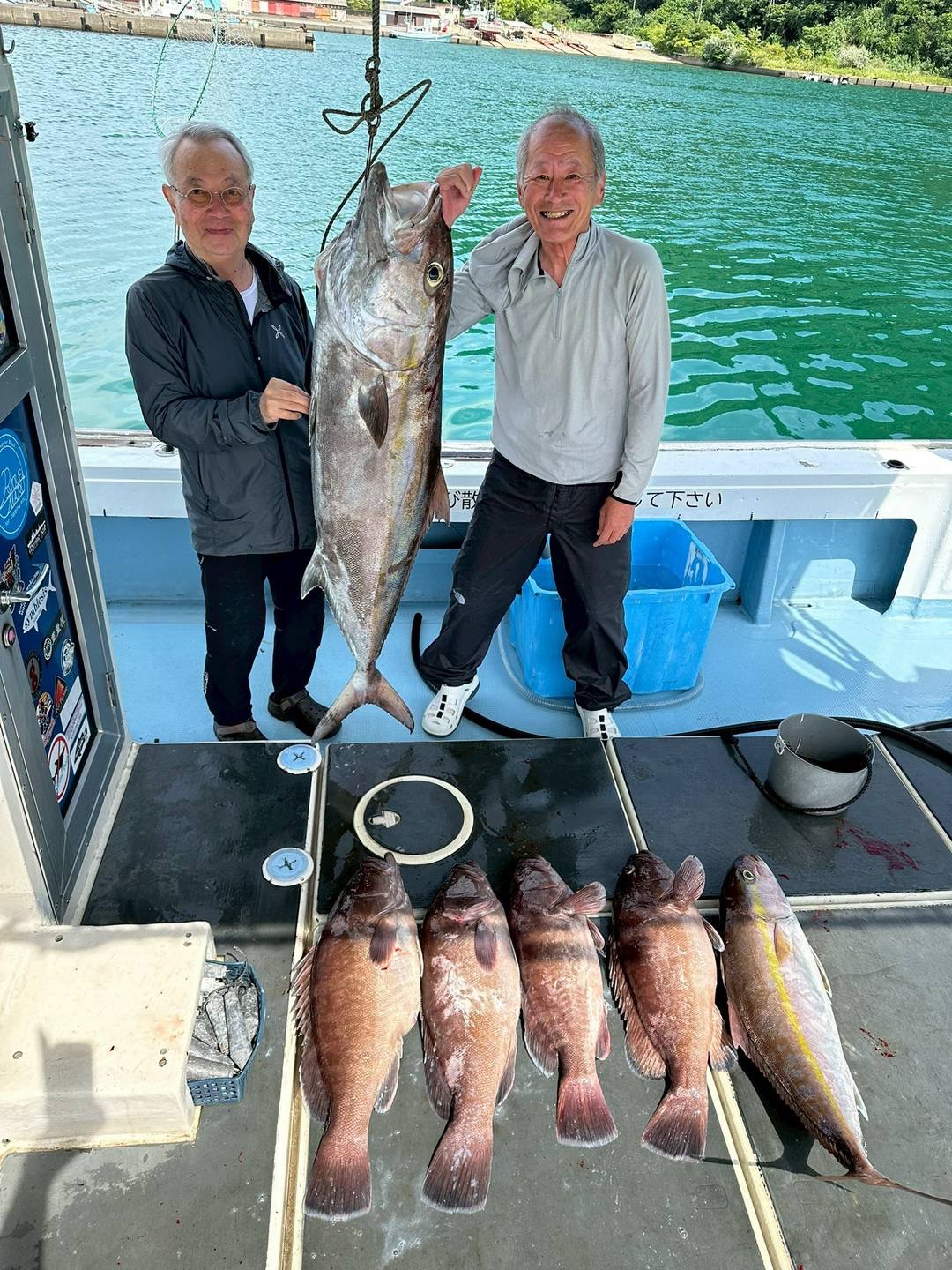 カンパチとアコウの釣果